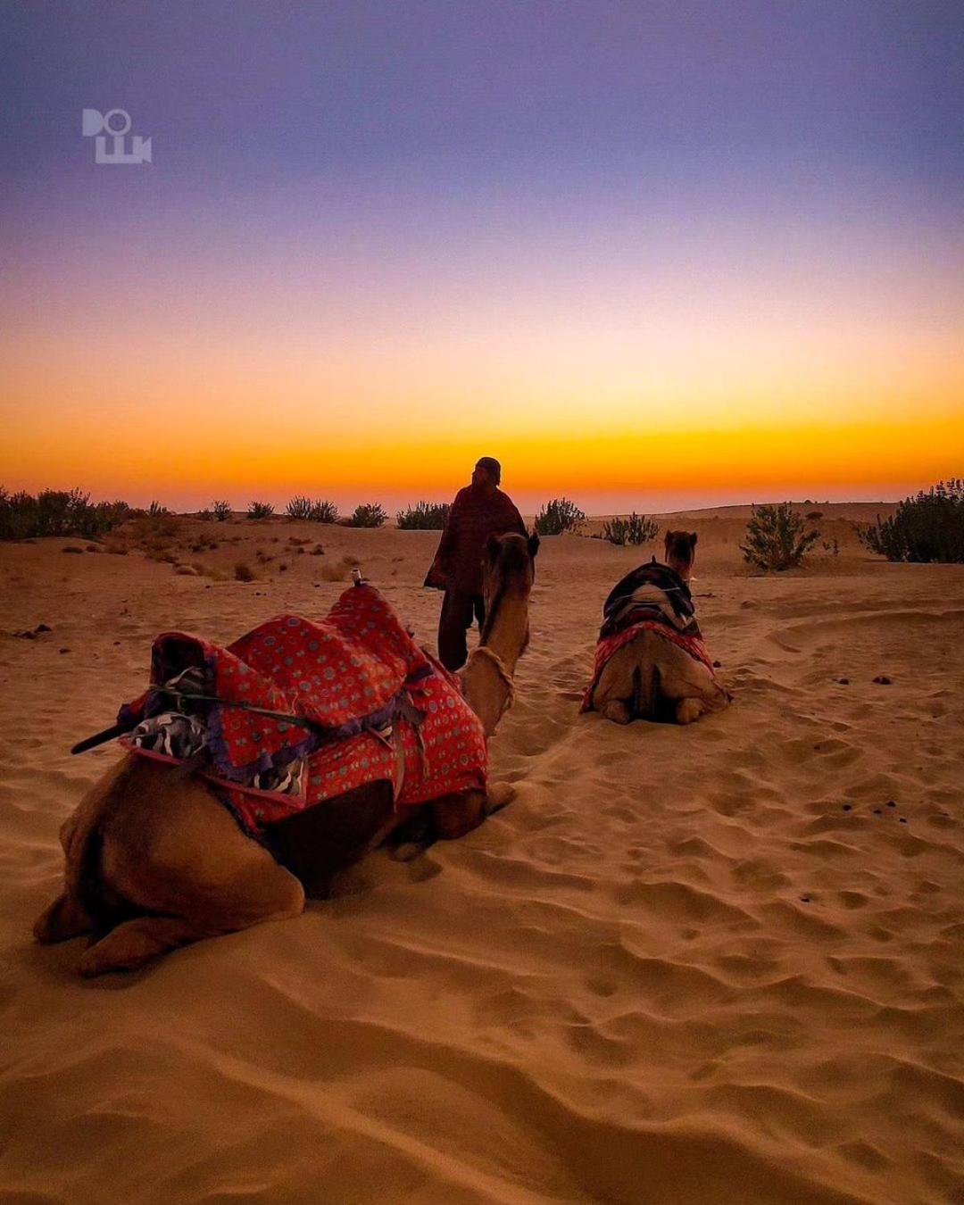 Mirvana Guest House & Camel Safari Jaisalmer Exteriör bild